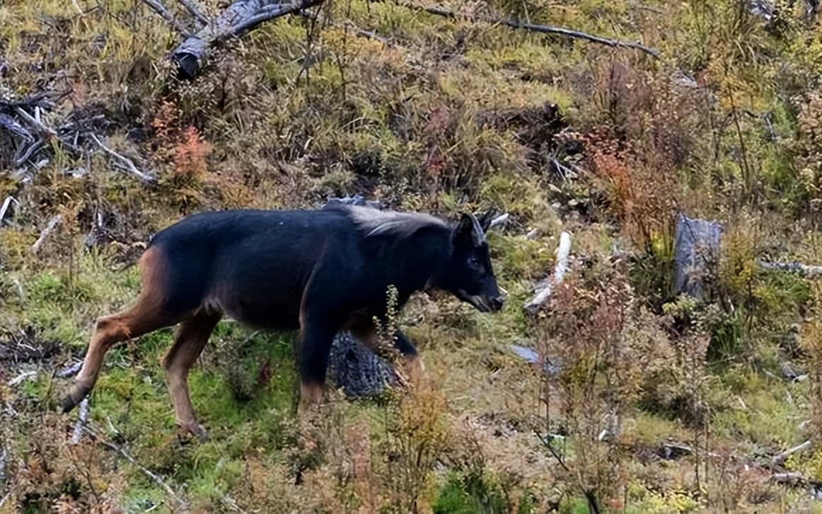 Xem phim Sex Education để dạy con, ai ngờ tôi xấu hổ nhận ra cái sai khiến bản thân đi làm bao nhiêu năm vẫn giậm chân tại chỗ! - Ảnh 2.