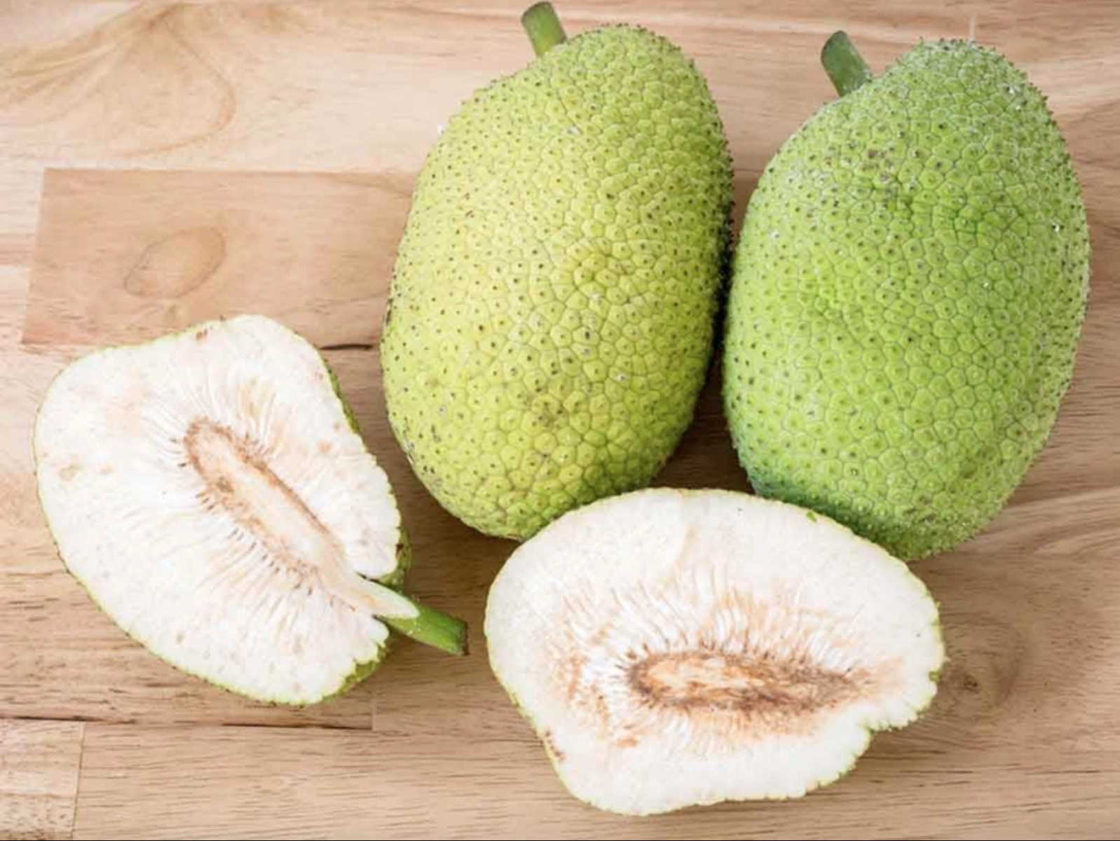 Nhầm lẫn giữa mít và sake: Khám phá món ngon từ loại quả đặc biệt - Ảnh 1. Nhầm lẫn giữa mít và sake: Khám phá món ngon từ loại quả đặc biệt - Ảnh 1.