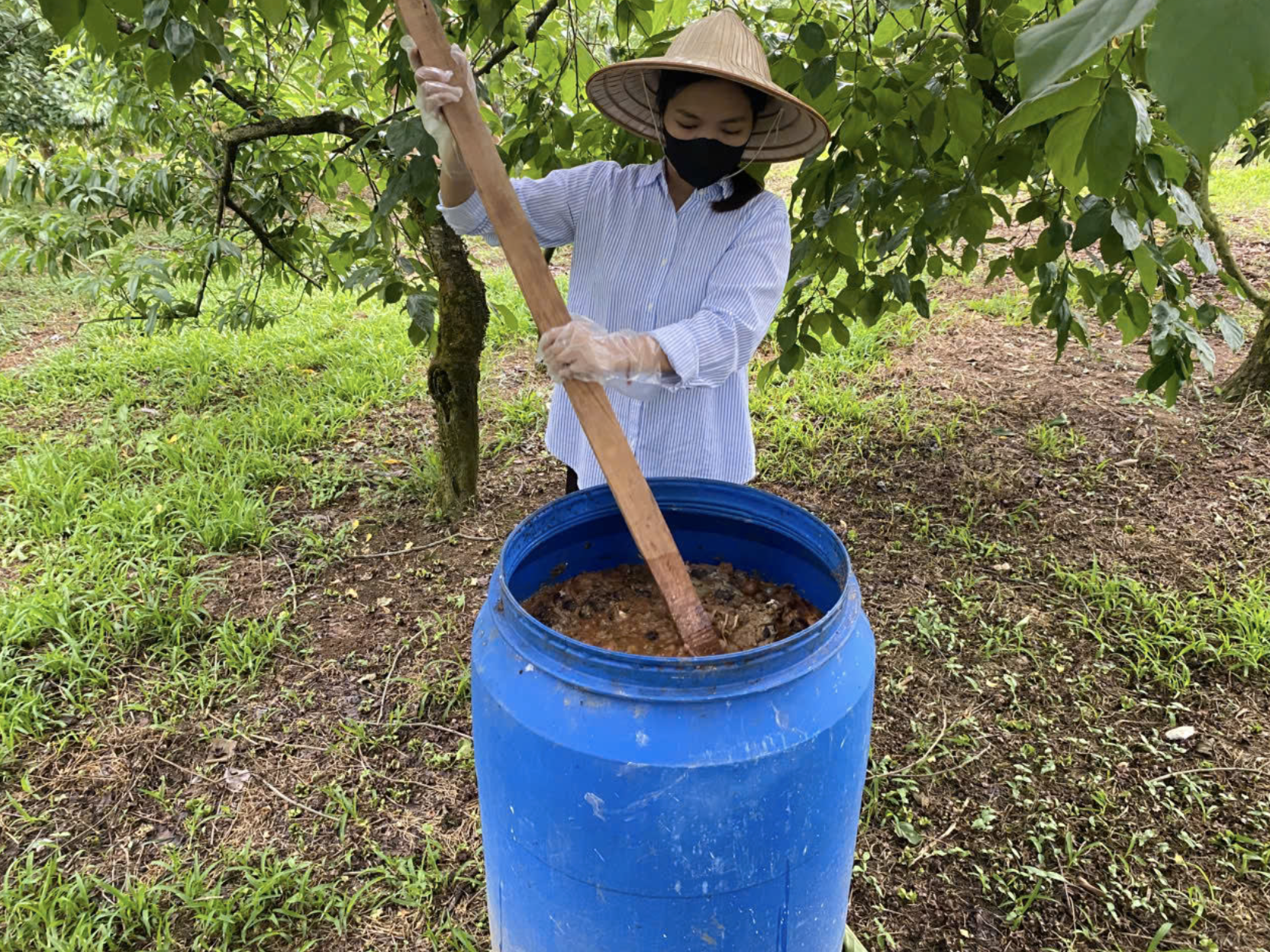 Những cô gái bỏ phố về rừng: Gieo mầm xanh từ những giấc mơ lành - Ảnh 7. Những cô gái bỏ phố về rừng: Gieo mầm xanh từ những giấc mơ lành - Ảnh 7.