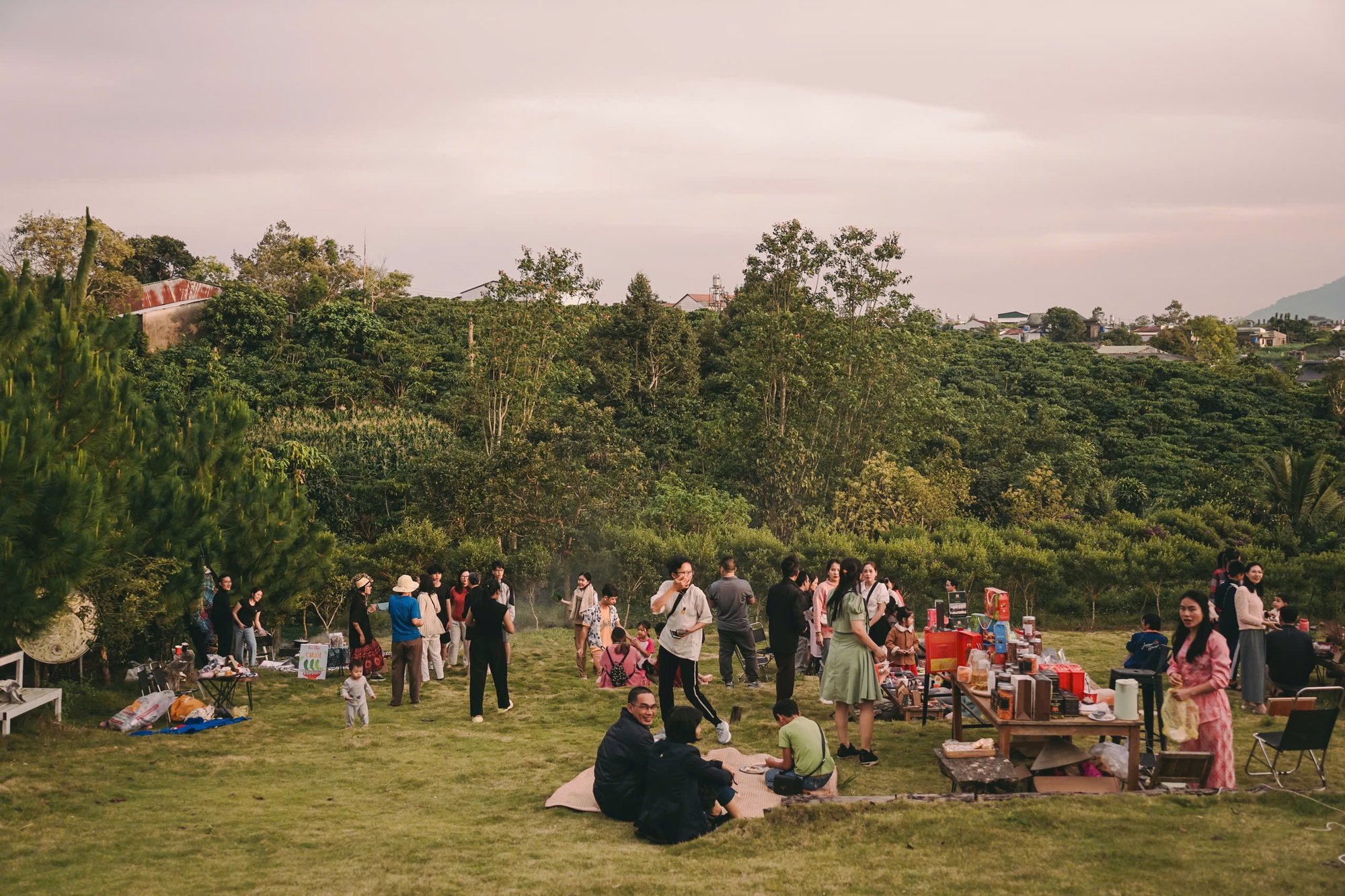 Những cô gái bỏ phố về rừng: Gieo mầm xanh từ những giấc mơ lành - Ảnh 4. Những cô gái bỏ phố về rừng: Gieo mầm xanh từ những giấc mơ lành - Ảnh 4.