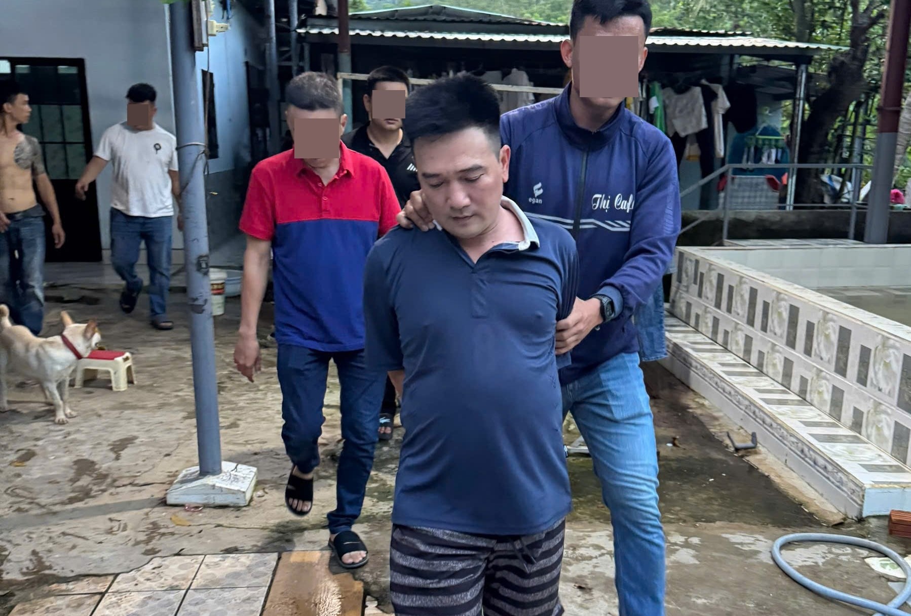 Triệt phá trường gà lớn ở Đà Nẵng: Những Bí mật bất ngờ từ trại nuôi gà - Ảnh 1.