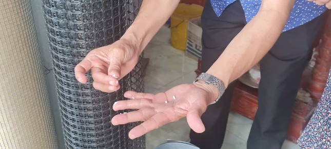 Phát hiện gạo lạ ở Hậu Giang gây lo ngại cho người tiêu dùng - Ảnh 1.