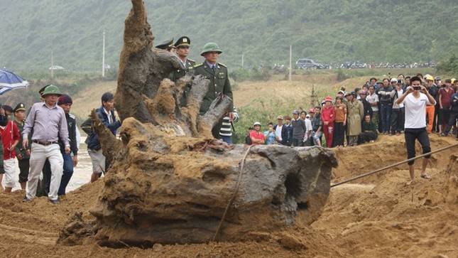 Phát hiện cây sưa ‘khủng’ dưới suối thuộc vùng đệm Phong Nha-Kẻ Bàng, dân lén lút khai quật trong đêm- Ảnh 4.