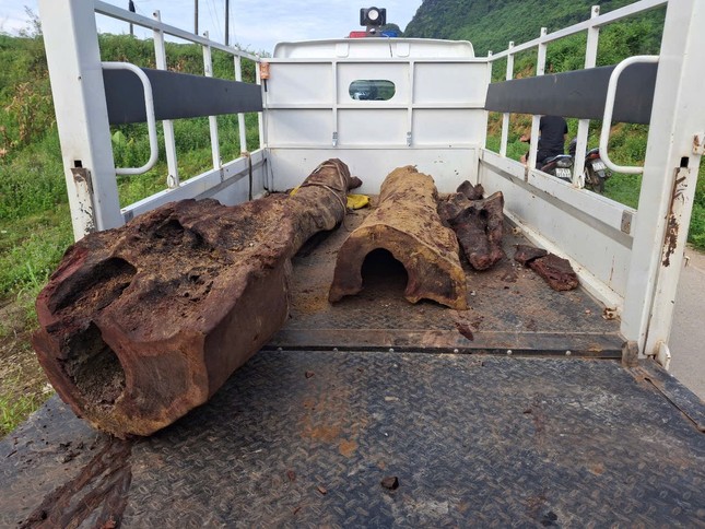 Phát hiện cây sưa ‘khủng’ dưới suối thuộc vùng đệm Phong Nha-Kẻ Bàng, dân lén lút khai quật trong đêm- Ảnh 3.