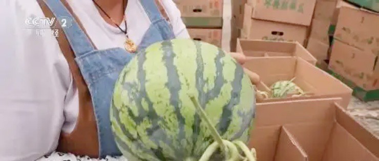 - Ảnh 1.