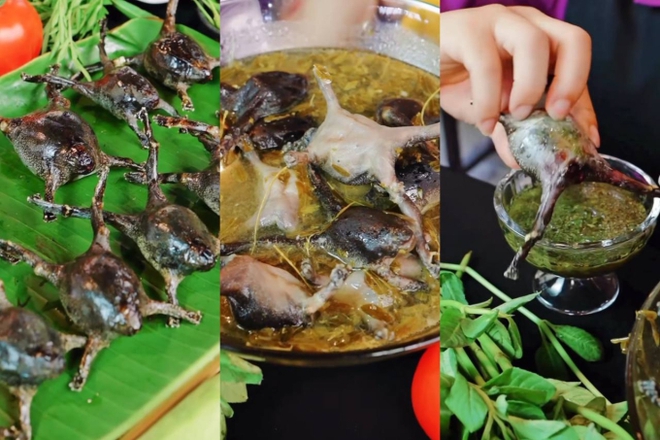 M&oacute;n ăn nh&igrave;n như sinh vật lạ, nhiều người "sợ khiếp v&iacute;a" nhưng gi&aacute; cao ngất ngưởng, l&agrave; đặc sản nức tiếng ở Việt Nam - Ảnh 4.