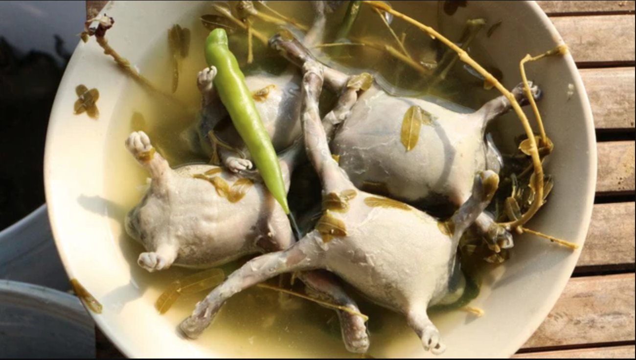 M&oacute;n ăn nh&igrave;n như sinh vật lạ, nhiều người "sợ khiếp v&iacute;a" nhưng gi&aacute; cao ngất ngưởng, l&agrave; đặc sản nức tiếng ở Việt Nam - Ảnh 2.