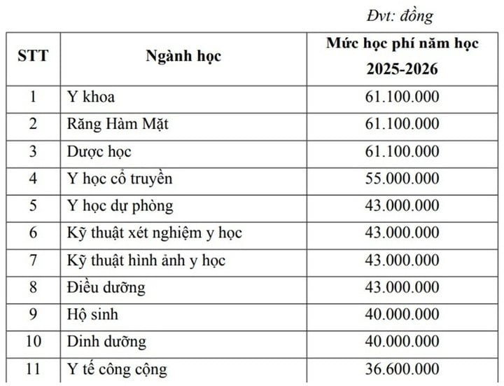 - Ảnh 2. - Ảnh 2.