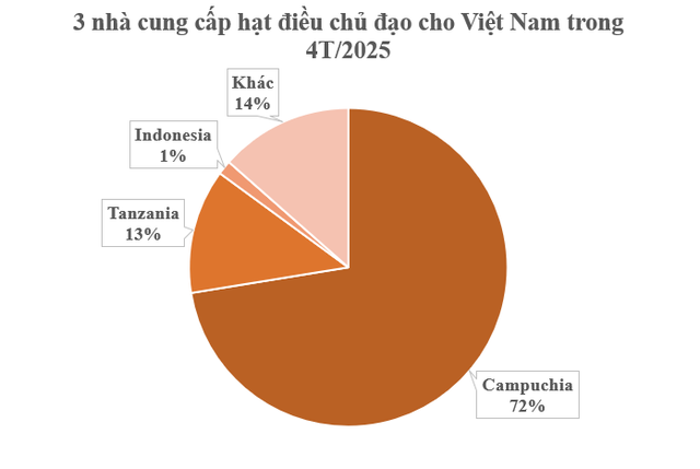 'Cứu tinh' từ Campuchia đổ bộ giúp Việt Nam củng cố ngôi vương của thế giới: Nhập khẩu hơn 1 triệu tấn trong quý 1, là mặt hàng được Mỹ cực ưa chuộng - Ảnh 1.