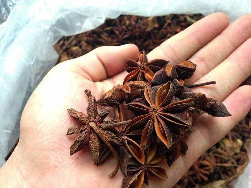 Việt Nam sở hữu "cánh hoa nghìn tỷ" thuộc hàng hiếm thế giới, vừa thu về 22 triệu USD, được Ấn Độ săn lùng - Ảnh 2. Việt Nam sở hữu "cánh hoa nghìn tỷ" thuộc hàng hiếm thế giới, vừa thu về 22 triệu USD, được Ấn Độ săn lùng - Ảnh 2.