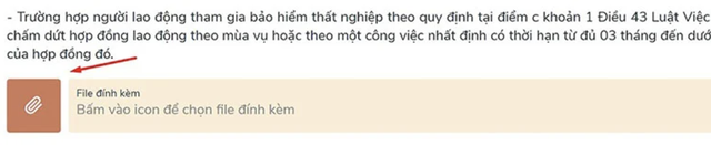 Nhận trợ cấp thất nghiệp online: Thủ tục cực nhanh - Ảnh 8.