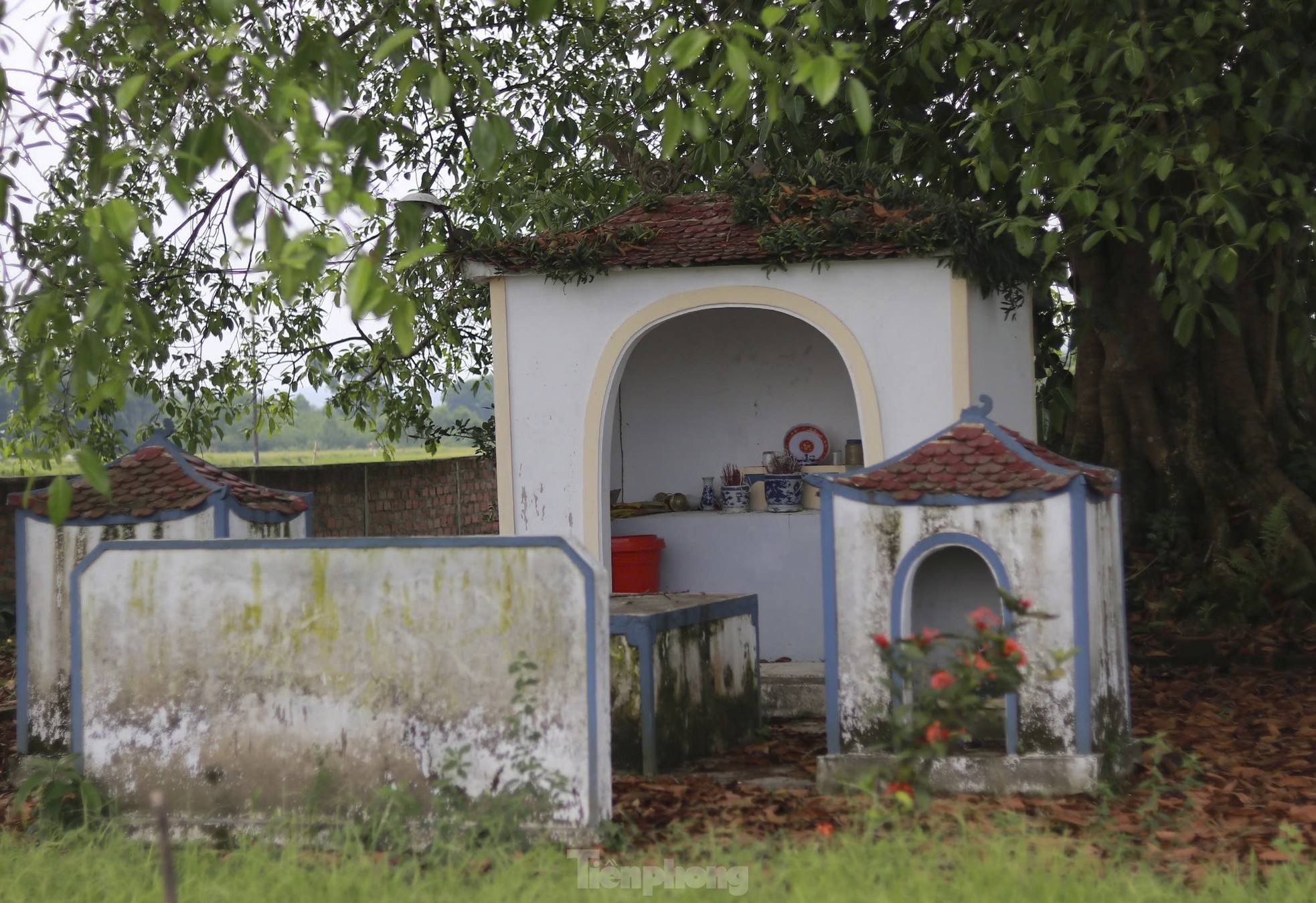 Báu vật 'cụ đa' hơn 300 năm tuổi, nơi trú ẩn của bộ đội thời chiến - Ảnh 6.