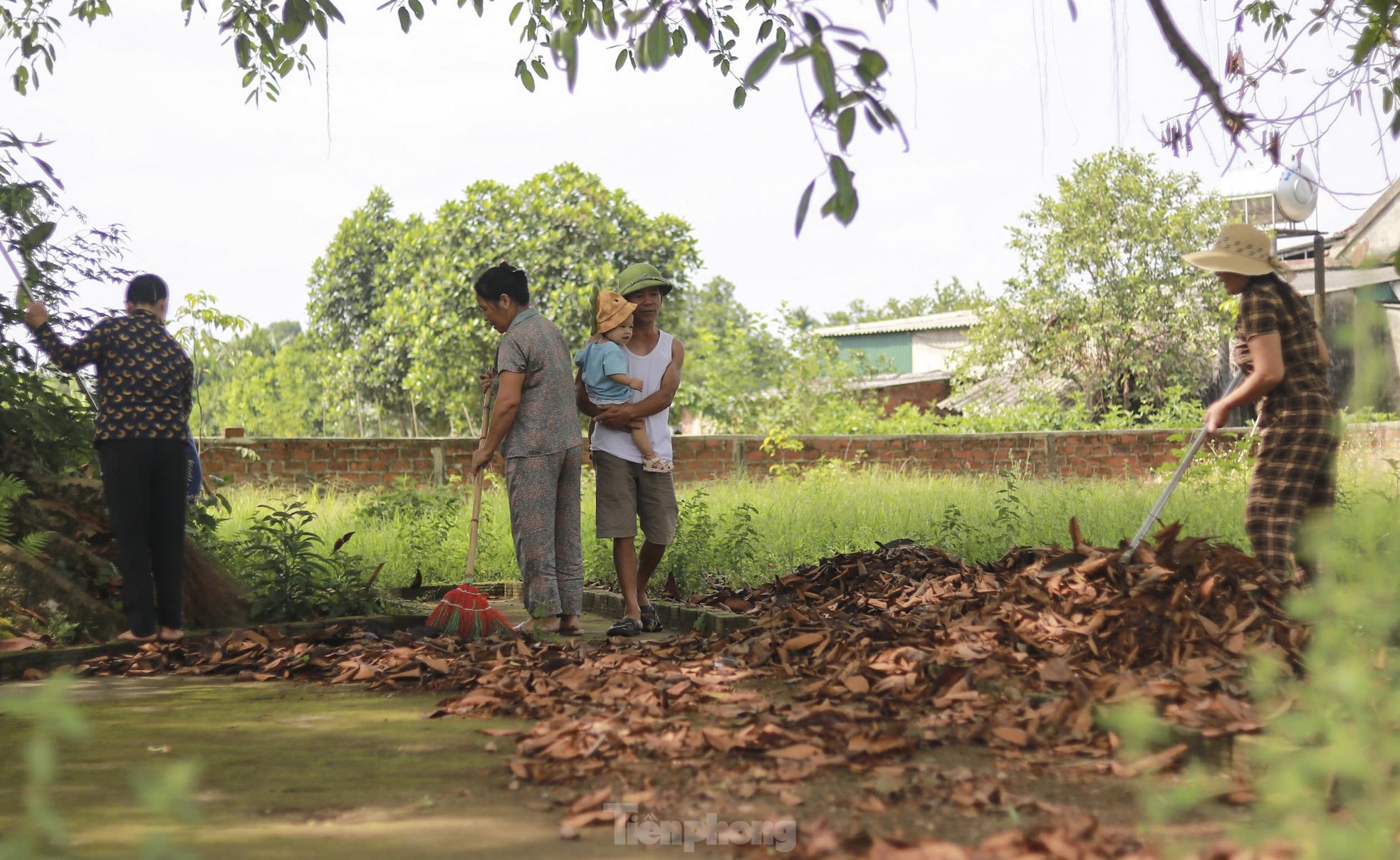 Báu vật 'cụ đa' hơn 300 năm tuổi, nơi trú ẩn của bộ đội thời chiến - Ảnh 8.