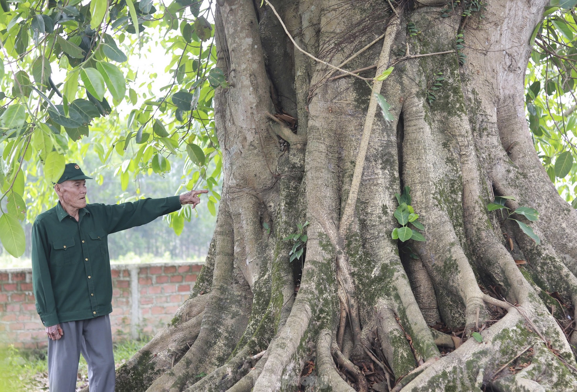 Báu vật 'cụ đa' hơn 300 năm tuổi, nơi trú ẩn của bộ đội thời chiến - Ảnh 7.