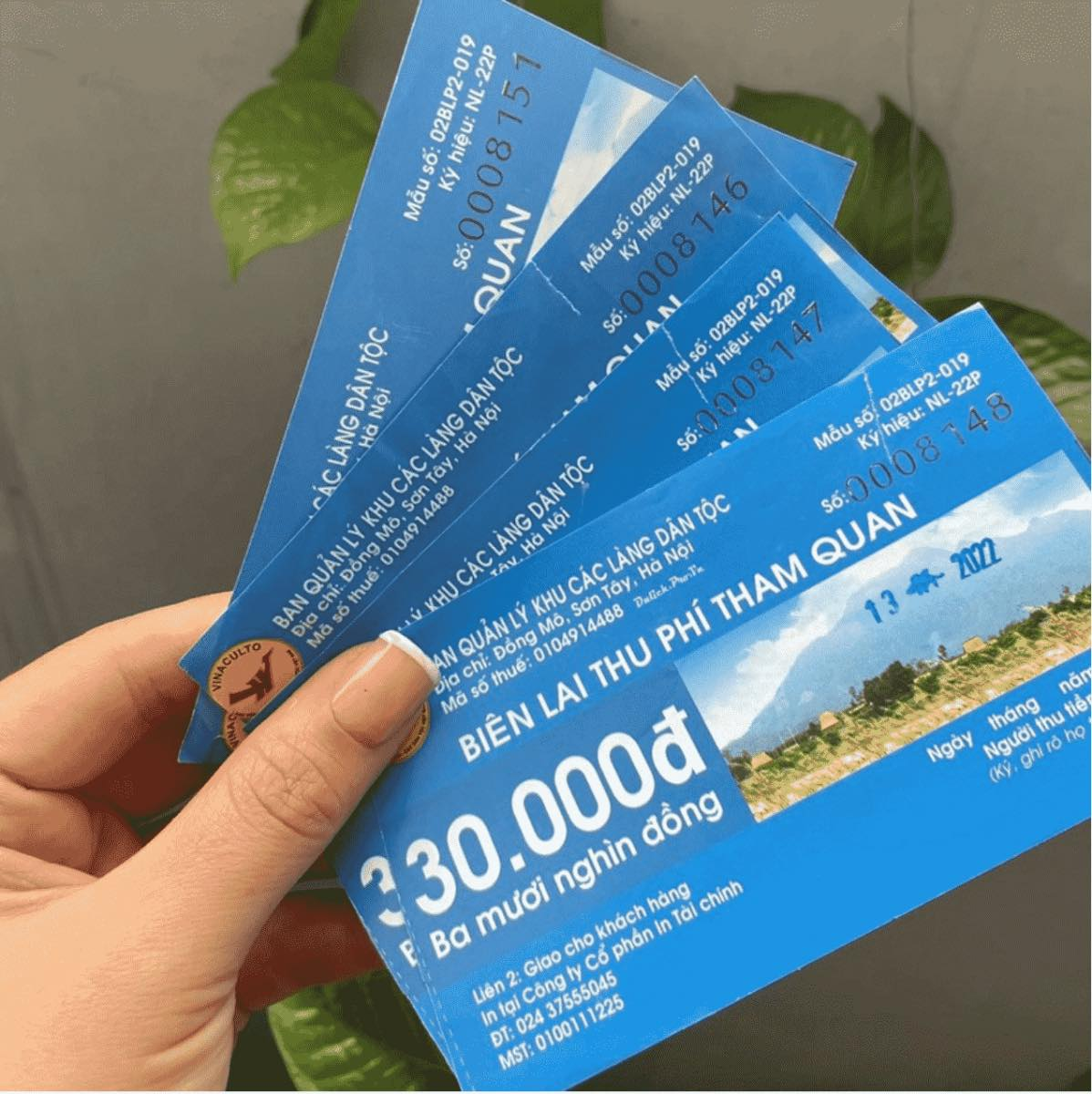 Làng văn hóa các dân tộc Việt Nam - Ảnh 11. Làng văn hóa các dân tộc Việt Nam - Ảnh 11.