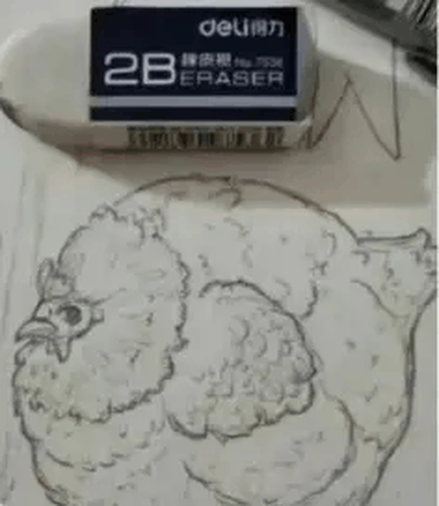 Câu chuyện hài hước về bức tranh con gà của học sinh và lời phê của cô giáo - Ảnh 1.