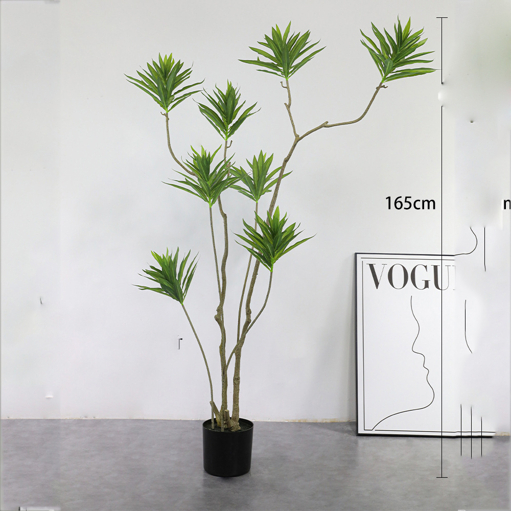 6 loại cây phong thủy giúp nhà giàu trấn giữ của cải và tài vận - Ảnh 15.