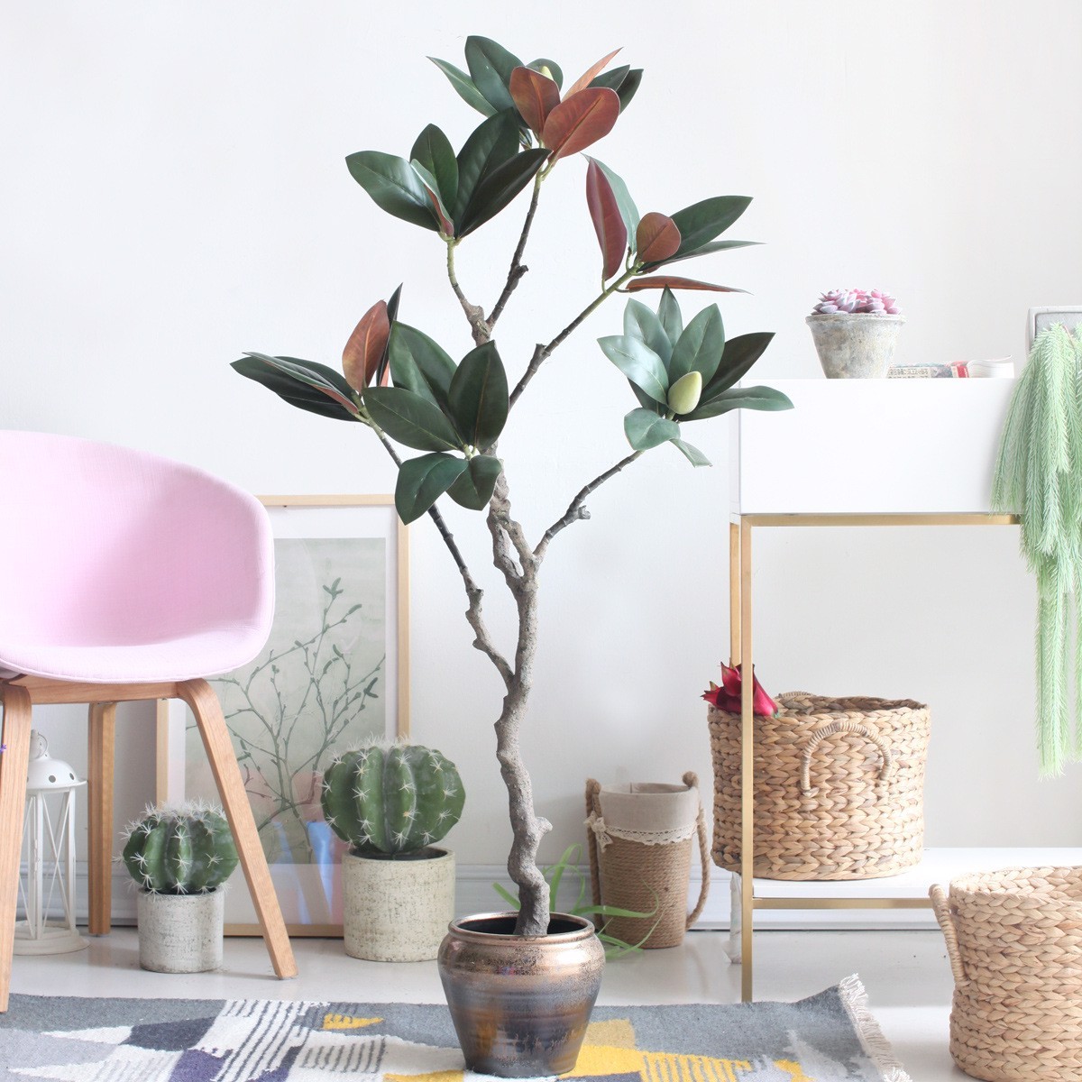 6 loại cây phong thủy giúp nhà giàu trấn giữ của cải và tài vận - Ảnh 9.