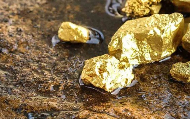 Việt Nam phát hiện vàng tại một tỉnh miền núi - Ảnh 1. Việt Nam phát hiện vàng tại một tỉnh miền núi - Ảnh 1.