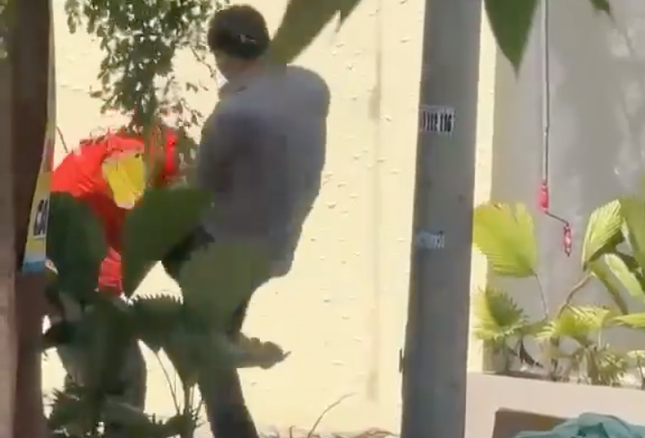 Điều tra vụ nam shipper TPHCM bị đánh gãy sống mũi tại chung cư An Phú - Ảnh 1.