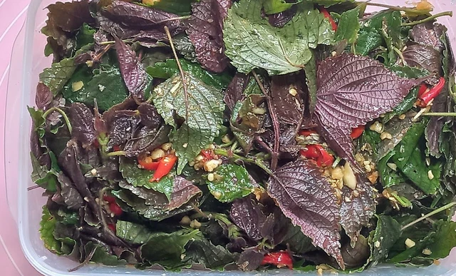 Loại l&aacute; được người Nhật v&iacute; như "thuốc qu&yacute; cho phổi", gi&aacute; cao ngất ngưởng nhưng ở chợ Việt rẻ b&egrave;o - Ảnh 5.