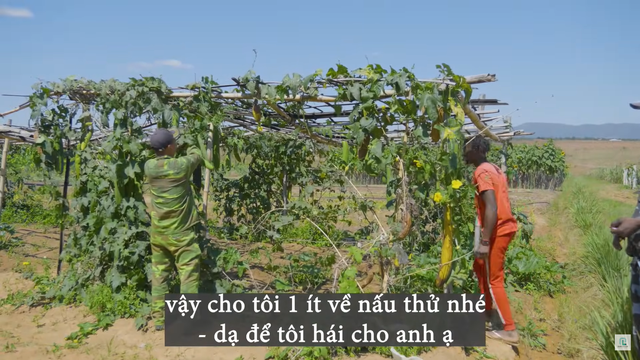Cảnh sát bất ngờ đến trang trại team Quang Linh châu Phi, chuyện gì đã xảy ra? - Ảnh 4.