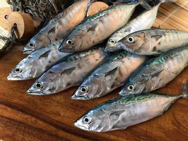Cá hồi chỉ đứng thứ 3 trong bảng xếp hạng DHA, nhà vô địch thực sự là loại cá rẻ bèo này- Ảnh 10.