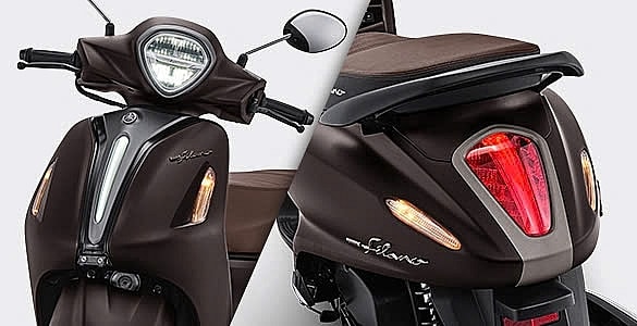 Hai mẫu xe tay ga 'ăn xăng như ngửi' về đại lý Việt: Có mẫu to, đẹp ngang Lead nhưng ăn 1,6L/100km - Ảnh 6.