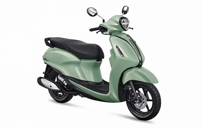 Hai mẫu xe tay ga 'ăn xăng như ngửi' về đại lý Việt: Có mẫu to, đẹp ngang Lead nhưng ăn 1,6L/100km - Ảnh 3.