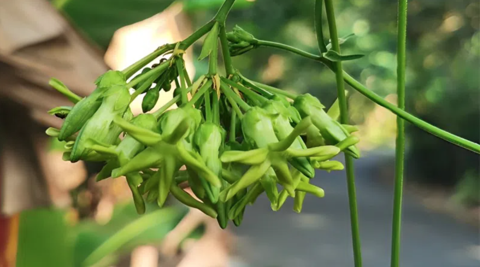 Không ngờ tới: Người Việt có thể nuốt 30.000 hạt vi nhựa mỗi năm khi ăn thứ quen thuộc này - Ảnh 2.