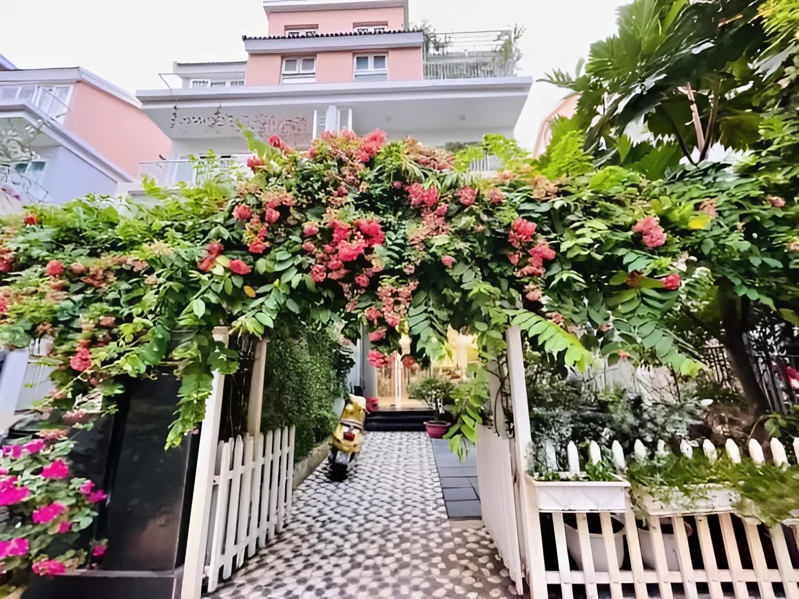 Hình ảnh