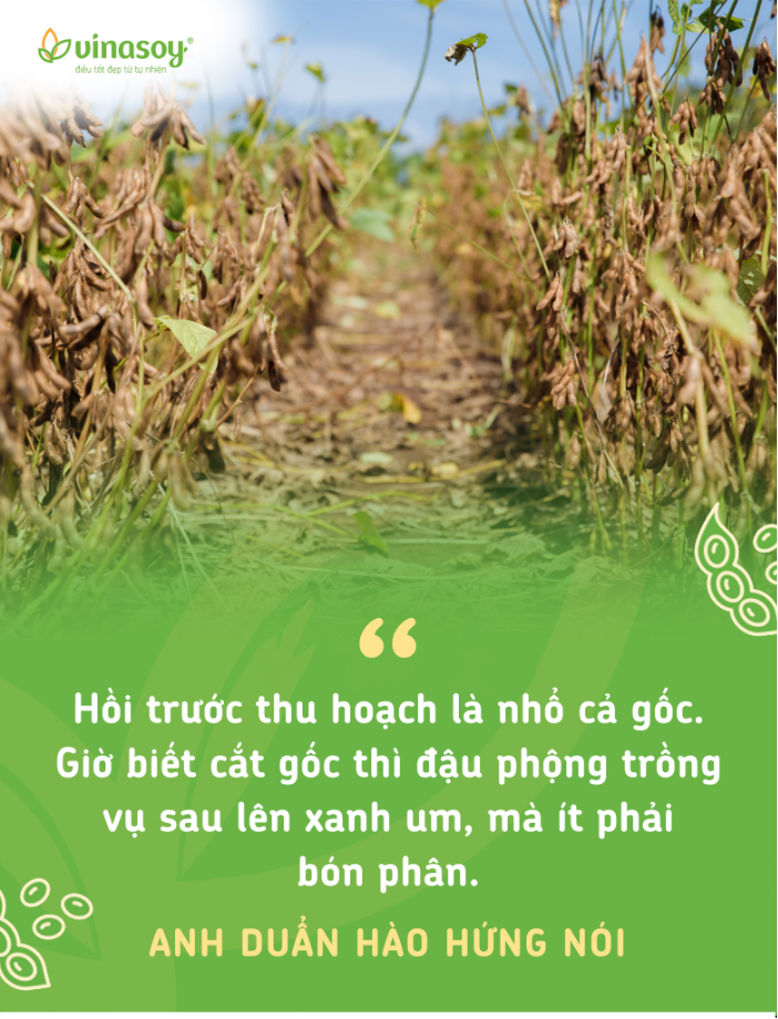 Chuyện người giữ sức khỏe cho đất - Ảnh 4.