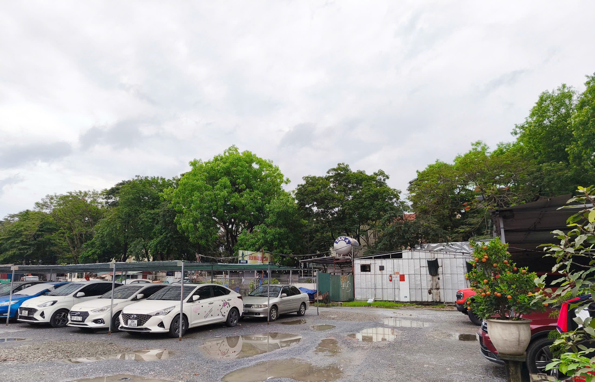 Nhận hối lộ Hoàng Liệt: Bí thư và cán bộ phường bị khởi tố vì tham nhũng - Ảnh 4.
