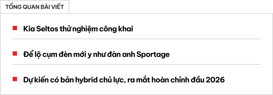 - Ảnh 1.