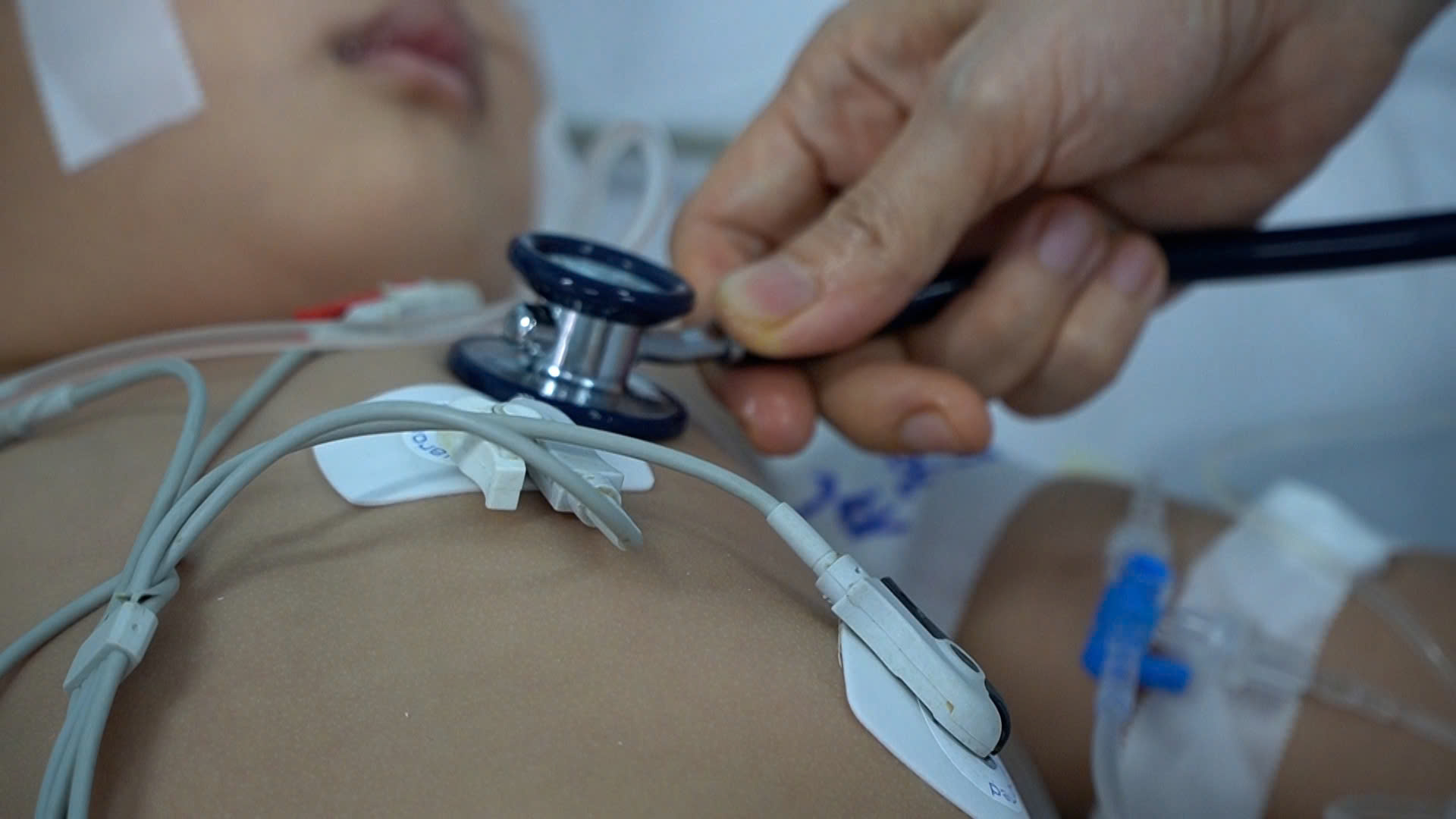 - Ảnh 2. - Ảnh 2.