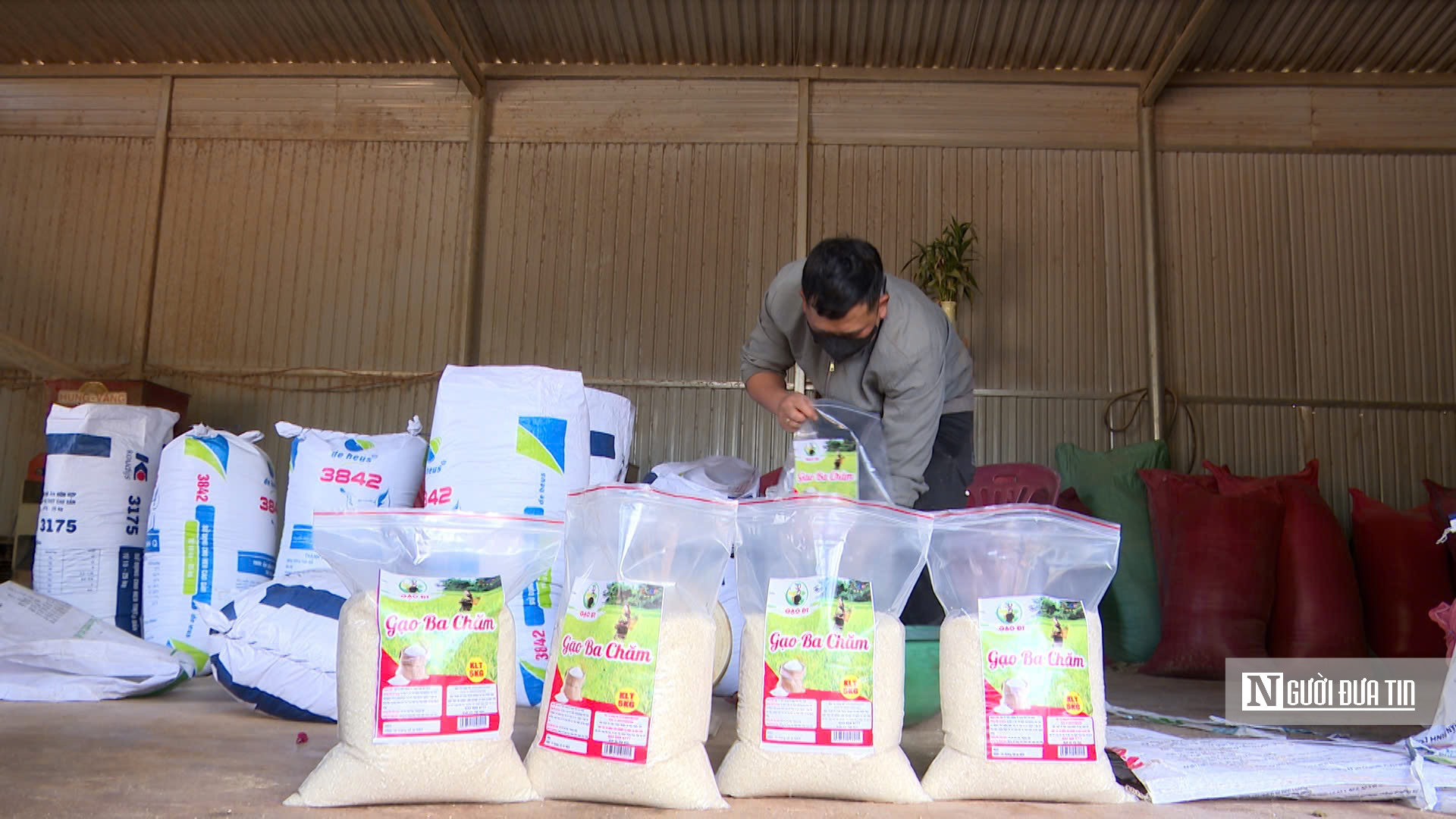 Bước tiến quan trọng của n&ocirc;ng sản Gia Lai tr&ecirc;n h&agrave;nh tr&igrave;nh ra thị trường quốc tế- Ảnh 2.