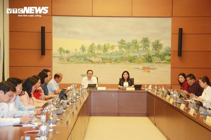 ĐBQH: Cả chợ Ninh Hiệp bán hàng giả, hàng nhái, cơ quan chức năng ở đâu? - Ảnh 2. ĐBQH: Cả chợ Ninh Hiệp bán hàng giả, hàng nhái, cơ quan chức năng ở đâu? - Ảnh 2.