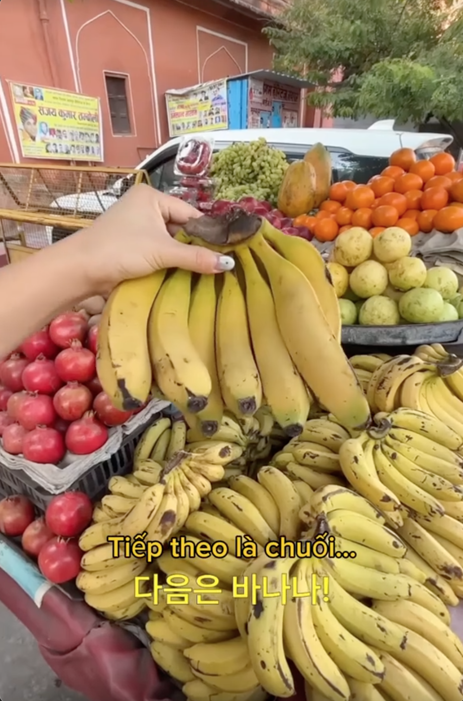 Đi Ấn Độ một mình, cô gái tiết lộ bảng giá "không tưởng": 6k/chai nước 1 lít, 15k/nải chuối, sốc nhất là giá tàu điện - Ảnh 8. Đi Ấn Độ một mình, cô gái tiết lộ bảng giá "không tưởng": 6k/chai nước 1 lít, 15k/nải chuối, sốc nhất là giá tàu điện - Ảnh 8.