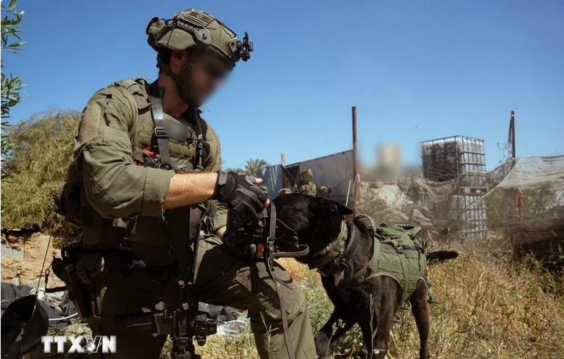 Israel điều động toàn bộ bộ binh và thiết giáp tới Gaza - Ảnh 1.