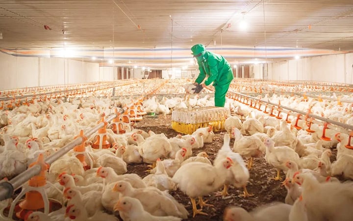 H&agrave;nh tr&igrave;nh vươn l&ecirc;n th&agrave;nh tỉnh n&ocirc;ng nghiệp ứng dụng c&ocirc;ng nghệ cao T&acirc;y Ninh - Ảnh 2.