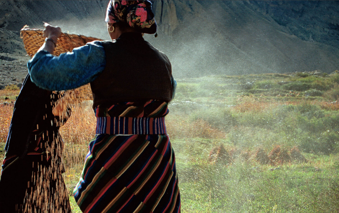 Ở cao nguy&ecirc;n T&acirc;y Tạng, con người đang tiến h&oacute;a ngoạn mục- Ảnh 1.