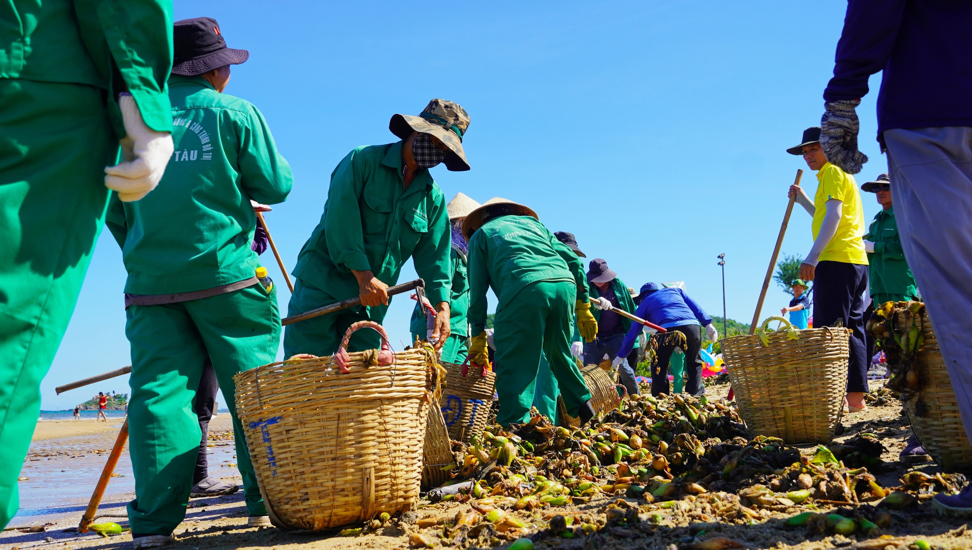 R&aacute;c đại dương "tấn c&ocirc;ng" biển B&atilde;i Sau, TP Vũng T&agrave;u - Ảnh 6.