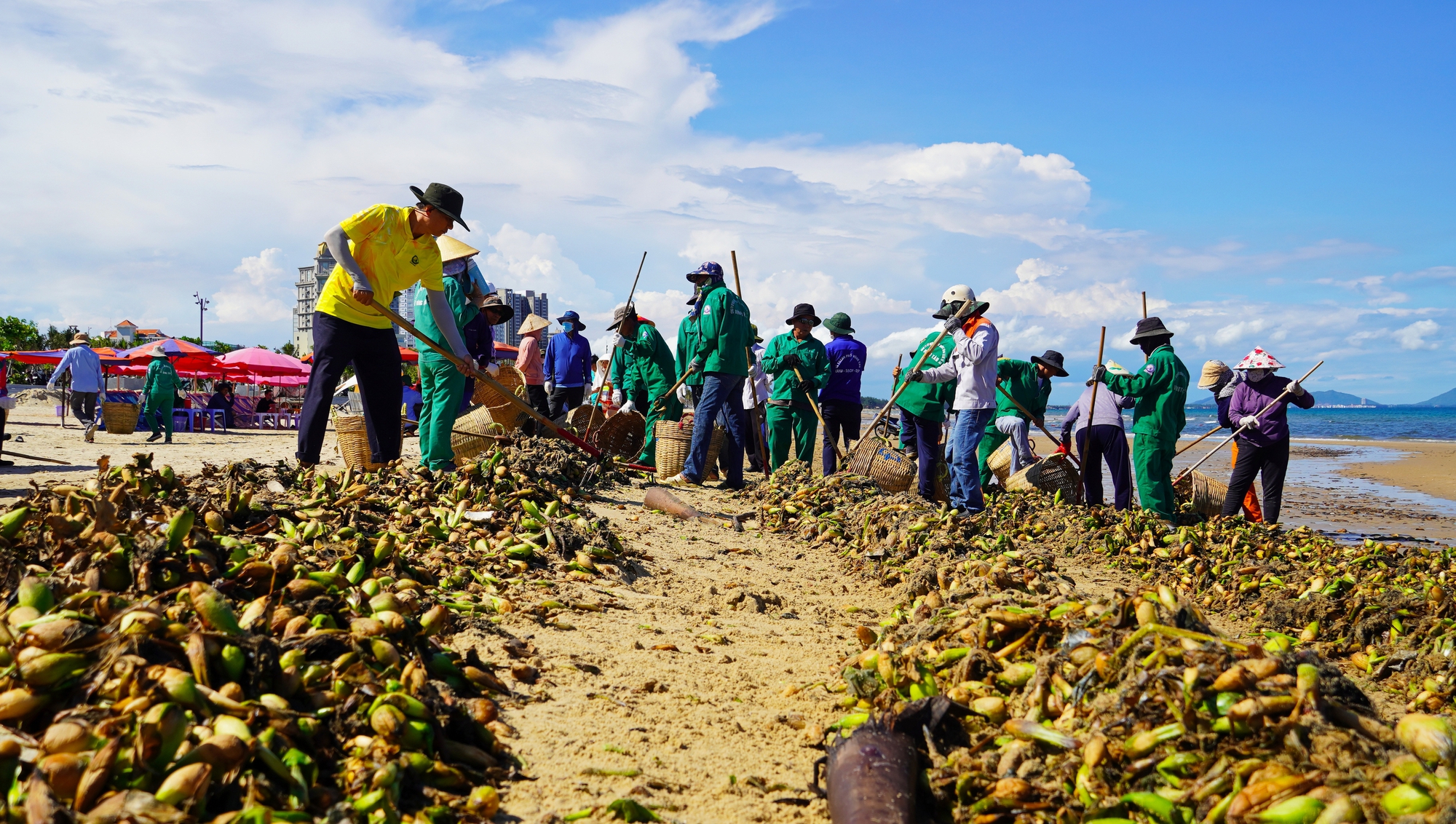 R&aacute;c đại dương "tấn c&ocirc;ng" biển B&atilde;i Sau, TP Vũng T&agrave;u - Ảnh 2.