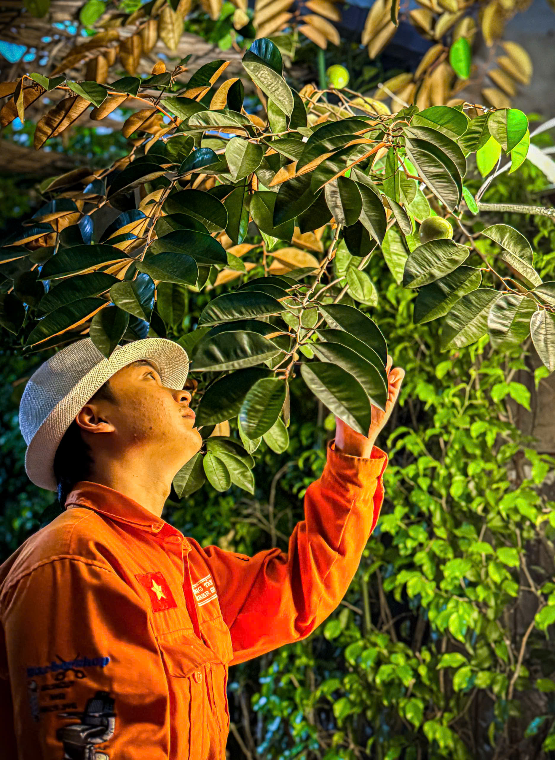 Chi hàng trăm triệu phủ xanh, chuỗi tiệm cắt tóc khiến khách choáng ngợp khi bước vào, tưởng sai địa chỉ- Ảnh 5. Chi hàng trăm triệu phủ xanh, chuỗi tiệm cắt tóc khiến khách choáng ngợp khi bước vào, tưởng sai địa chỉ- Ảnh 5.