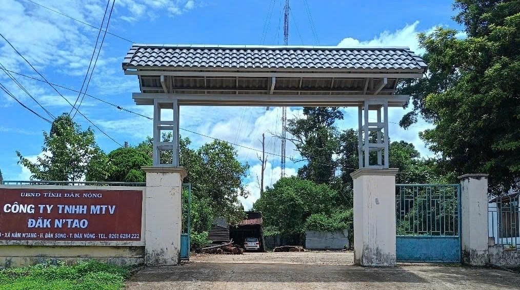 Tấn c&ocirc;ng c&aacute;n bộ kiểm l&acirc;m khiến ph&oacute; gi&aacute;m đốc trọng thương tại Đắk N ' Tao - Ảnh 1.