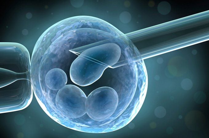 IVF Hồng Ngọc l&agrave;m chủ phương ph&aacute;p gi&uacute;p gia đ&igrave;nh sinh con khỏe mạnh - Ảnh 1.