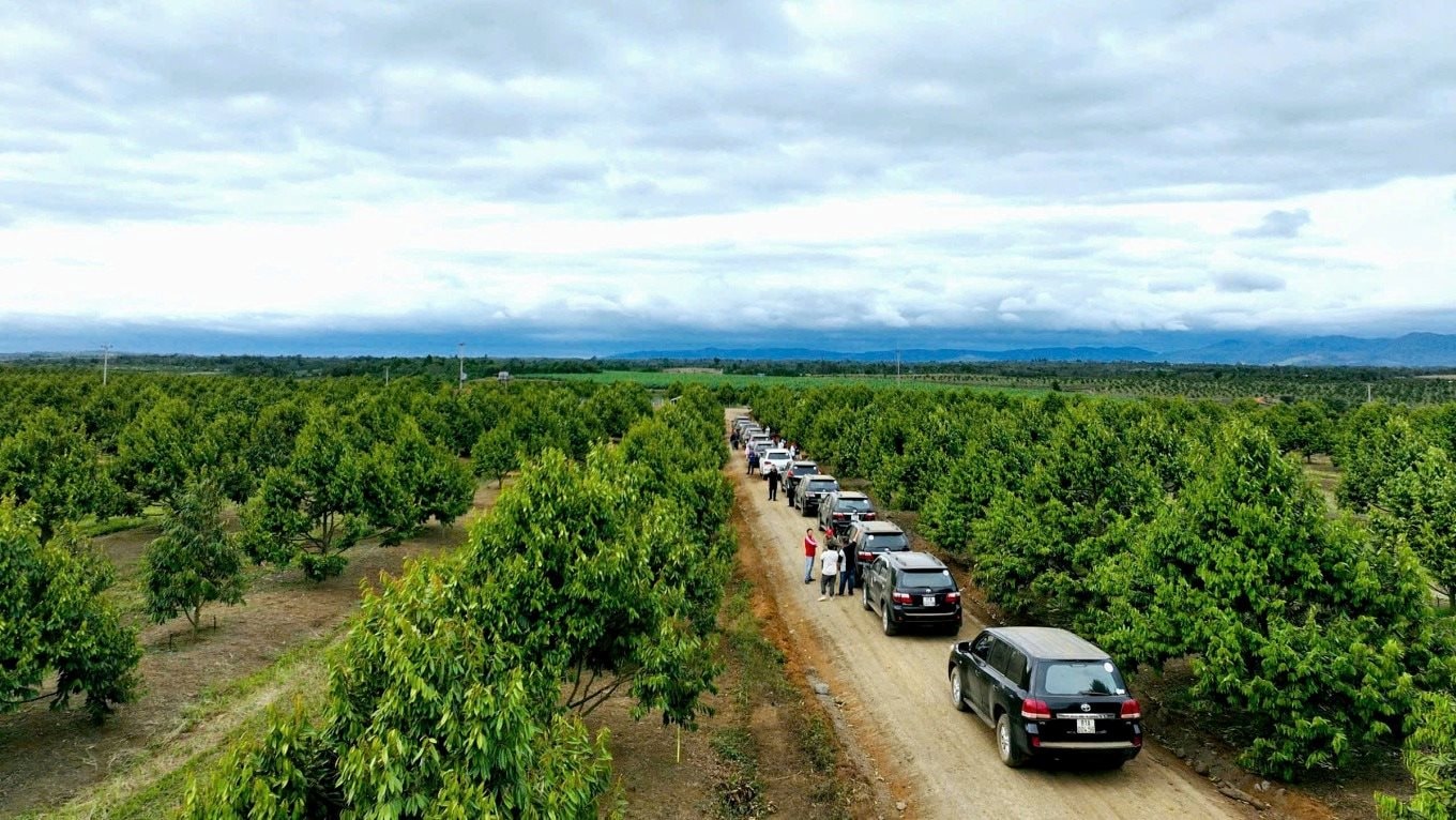 Sở hữu nông trại sầu riêng 2.000ha lớn nhất Đông Nam Á, Hoàng Anh Gia Lai của bầu Đức đón nhận tin vui từ Thủ tướng - Ảnh 2.