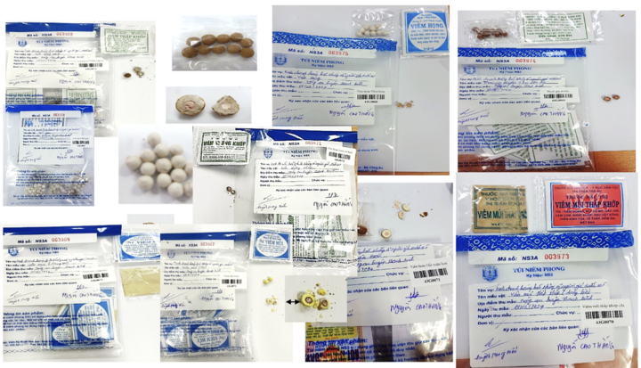 Thứ trưởng Y tế nhấn mạnh xử lý thuốc giả là trách nhiệm cấp bách của toàn xã hội - Ảnh 3.