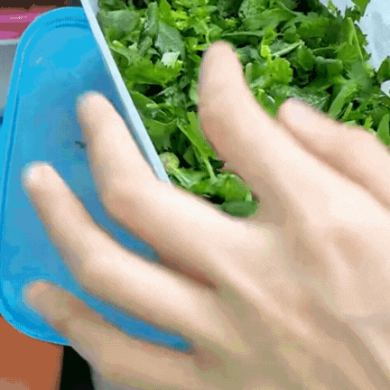 Bí quyết giữ rau thơm tươi lâu: Có nên trữ đông rau mùi (ngò rí)? Vì sao để tủ lạnh lại bị thâm đen?- Ảnh 10. Bí quyết giữ rau thơm tươi lâu: Có nên trữ đông rau mùi (ngò rí)? Vì sao để tủ lạnh lại bị thâm đen?- Ảnh 10.