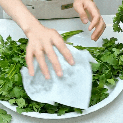 Bí quyết giữ rau thơm tươi lâu: Có nên trữ đông rau mùi (ngò rí)? Vì sao để tủ lạnh lại bị thâm đen?- Ảnh 6. Bí quyết giữ rau thơm tươi lâu: Có nên trữ đông rau mùi (ngò rí)? Vì sao để tủ lạnh lại bị thâm đen?- Ảnh 6.